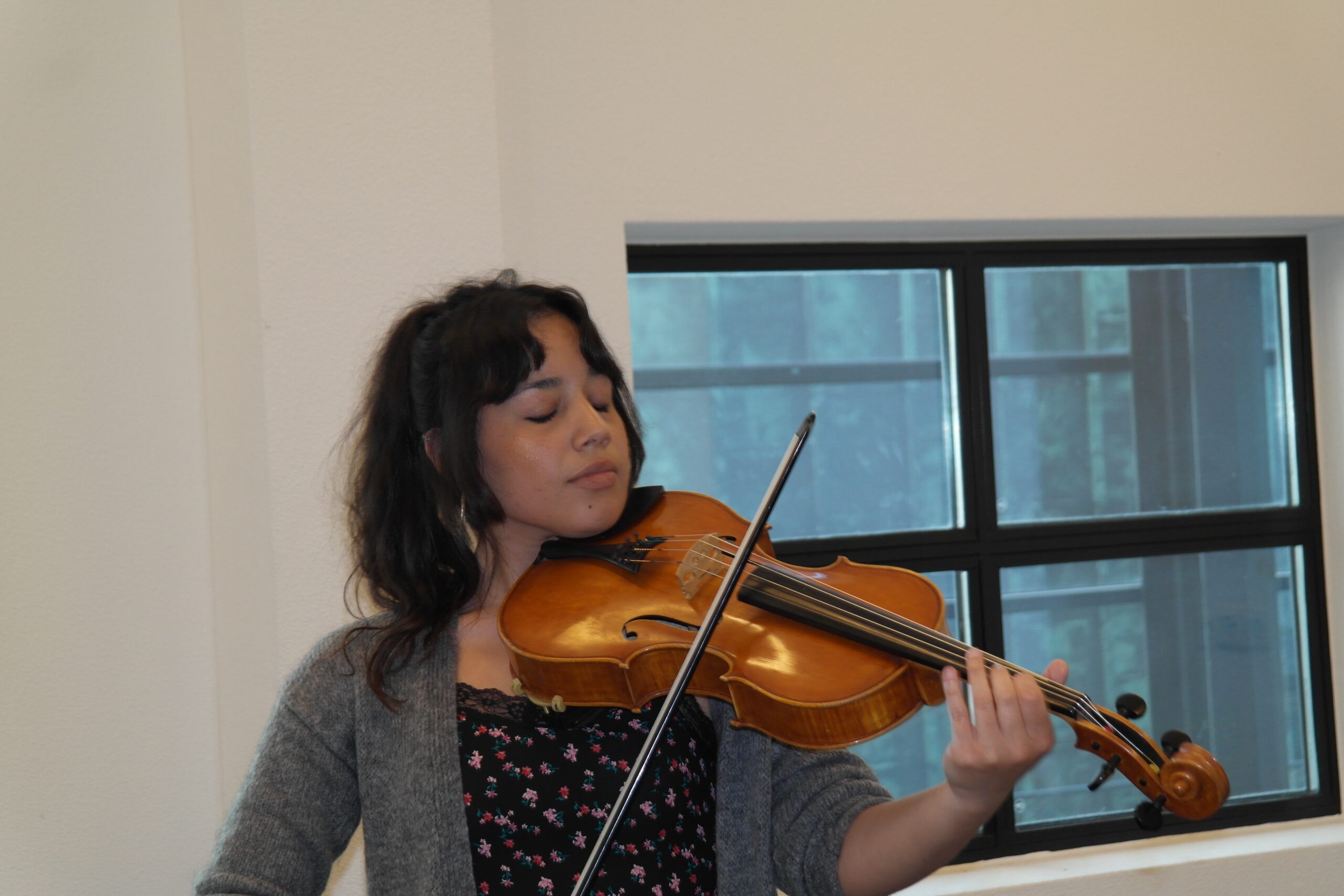 Introduction Course Viola